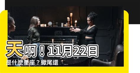 11月22日是什麼星座